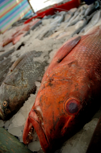 Fisch