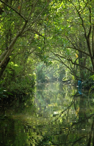 Backwater Kanal