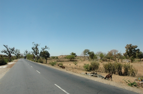 Straße nach Udaipur