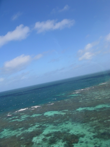 Great Barrier Reef III