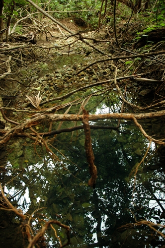 Wasserloch