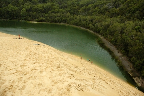 Sandsee